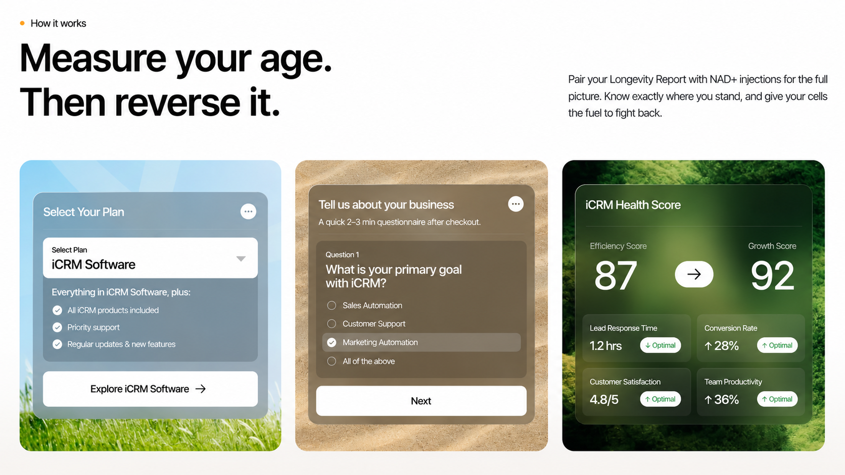 Captivating How it works Layout